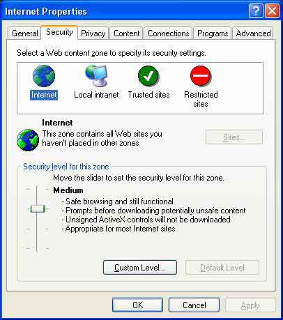 Internet Explorer properties window image