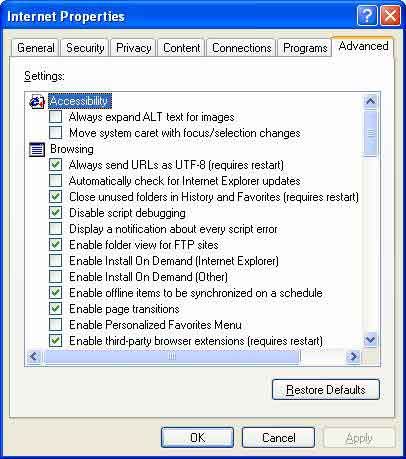 advanced Internet Explorer properties window image