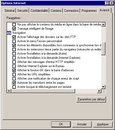 Les propri&eacute;t&eacute;s avanc&eacute;es d'Internet Explorer